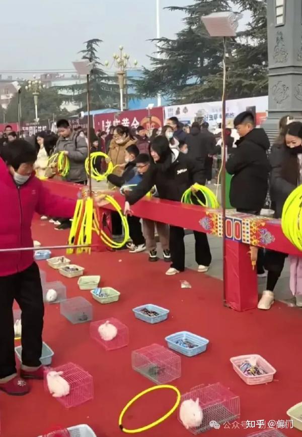 11月1日全新地摊套圈热潮，开启新一轮的套圈篇章