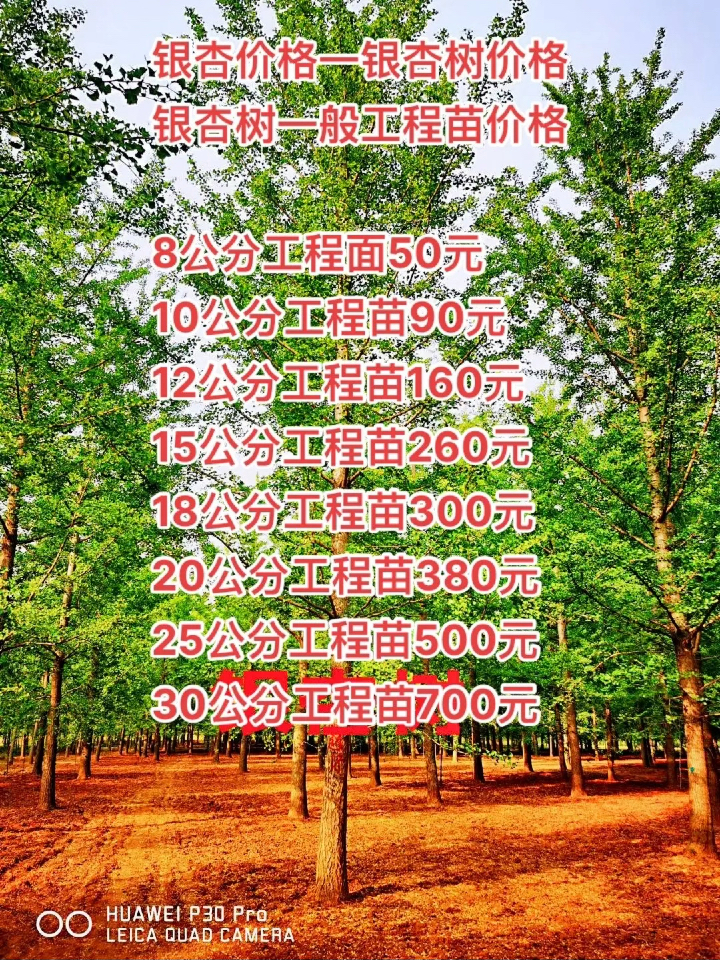 资料大全 第752页