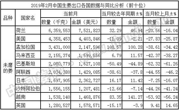 11月2日生姜行情下的励志篇章，自信闪耀，学习变化，把握未来机遇