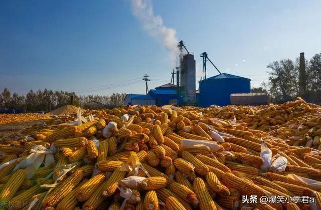 自信成就感的源泉