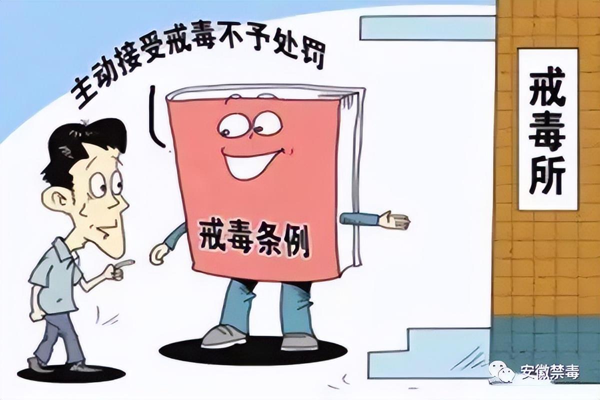 案例分析