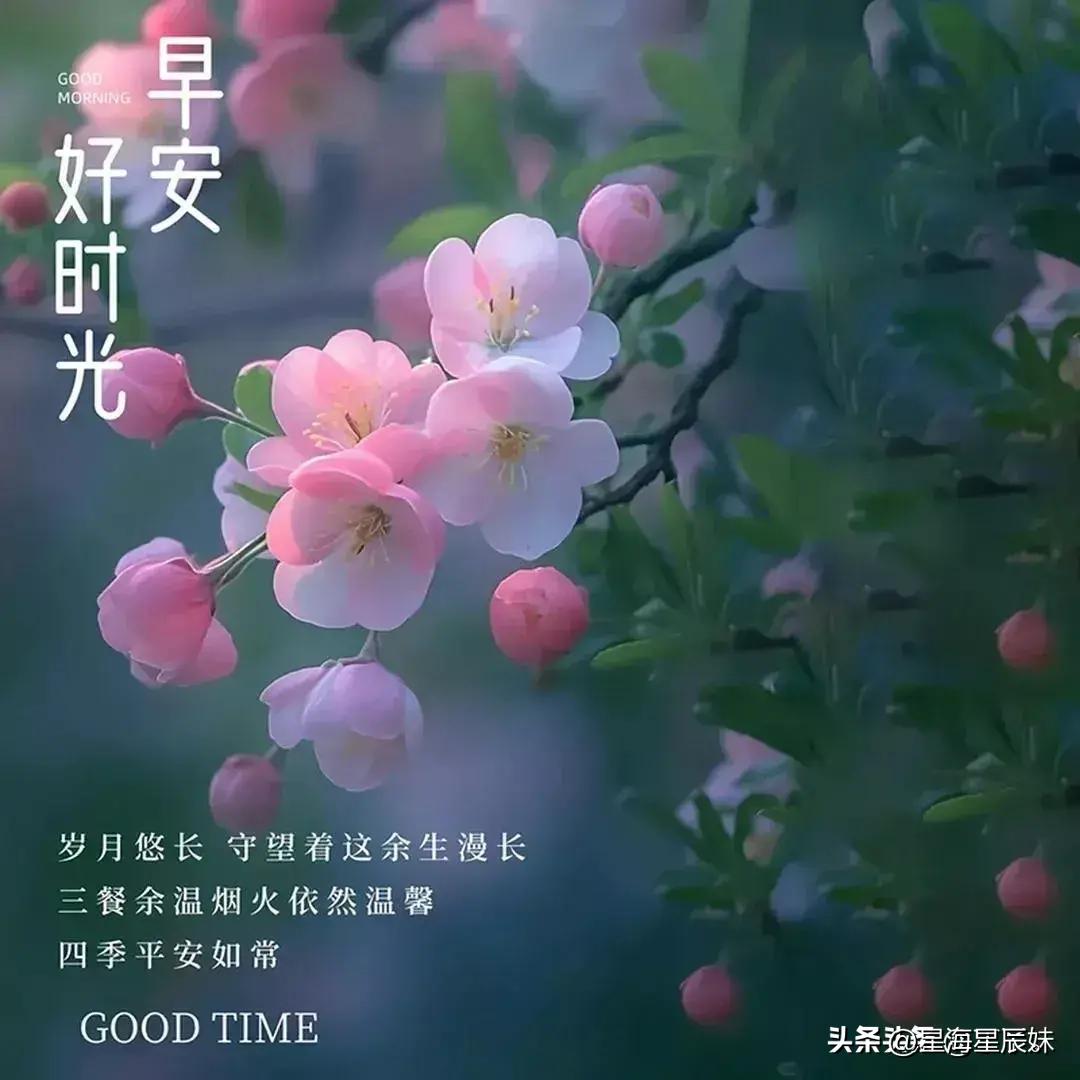 2025年天天彩资料免费大全,直观解答方案解析解释_游戏集8.483