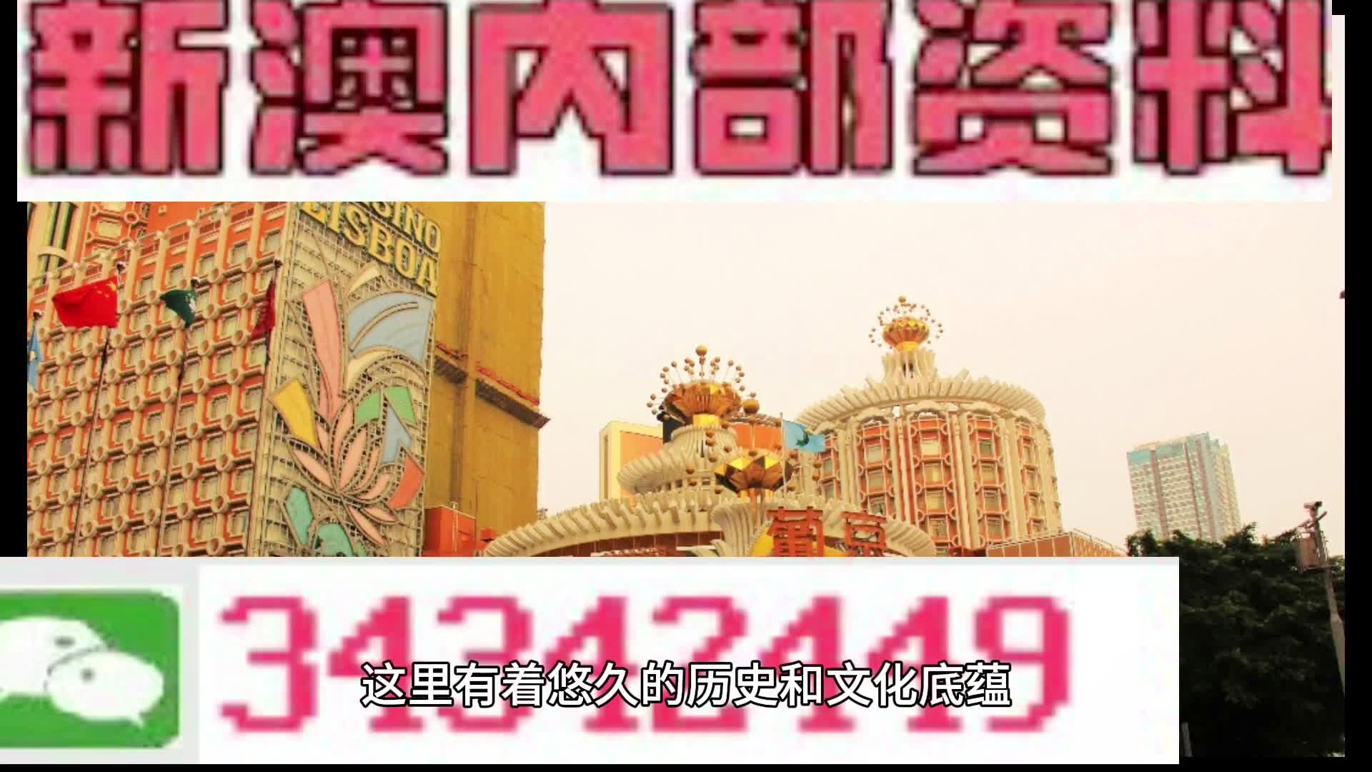 新奥门正版免费资料,科技动态解析落实_娱乐集82.154