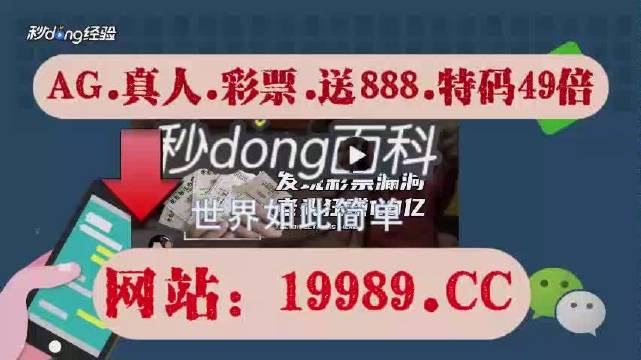 2025澳门天天开好彩大全免费,时代说明解析_克隆集28.706