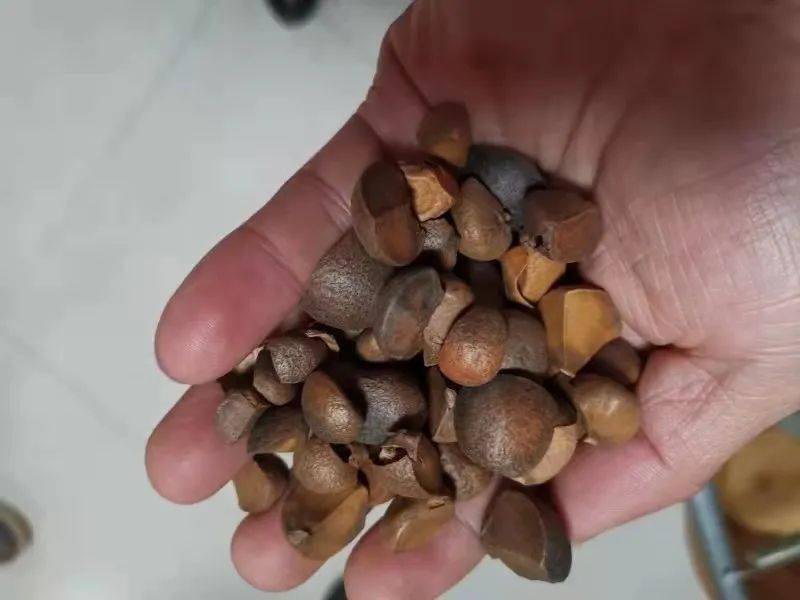 最新消息，高唐二手房出售背后的自然之旅，寻找内心的宁静与平和