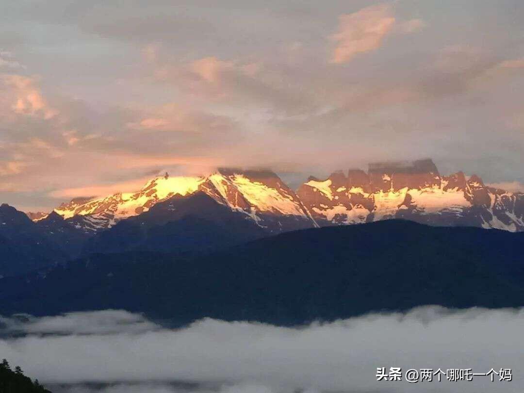 温馨时光，我与新视频的邂逅之旅