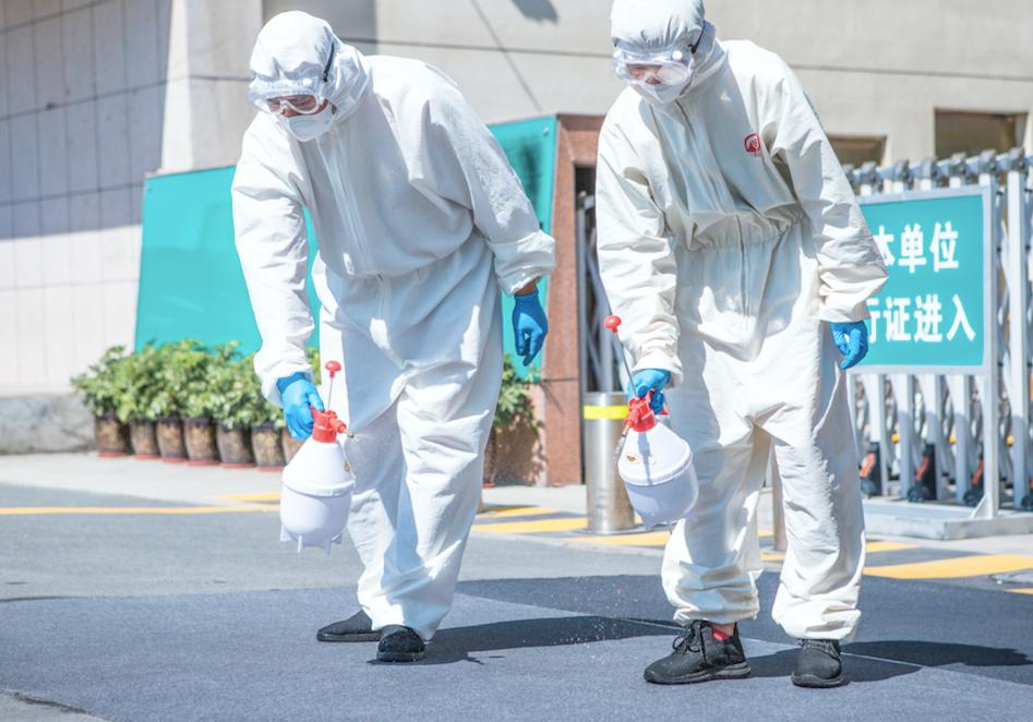 新疆疫情最新动态分析报告，11月4日更新概况及深度解读