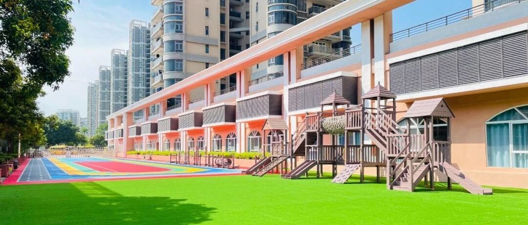 深圳幼儿园转让最新动态解析，聚焦要点深度解读