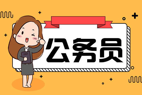 揭秘，11月4日公考最新动态与信息解析速递
