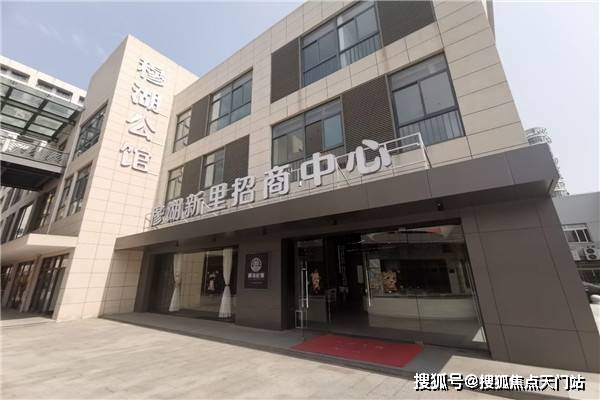 深度解析，最新网站猫现象——猫之巅峰，11月4日观察报告
