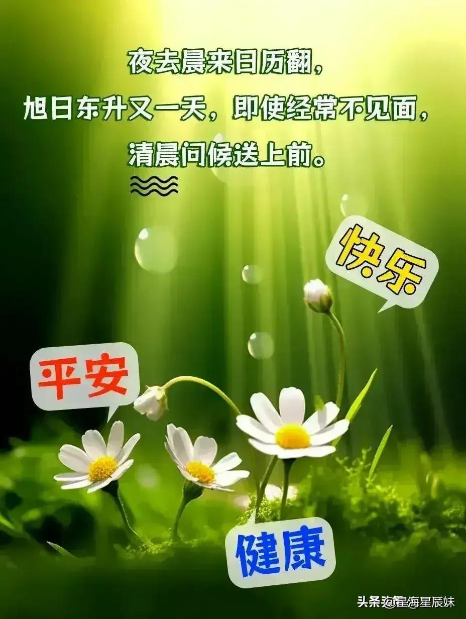 2025天天彩全年免费资料,深入定义解答解释_节省版89.274