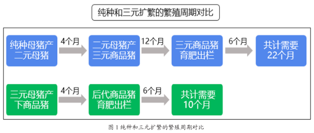 新澳最新最快资料,权威策略探讨数据_终端型74.762
