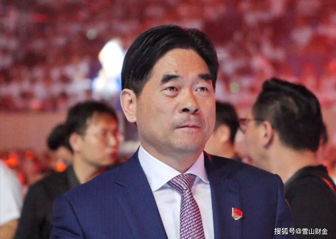 王振华案件最新进展报道，深入解析三大要点，涉政问题引关注