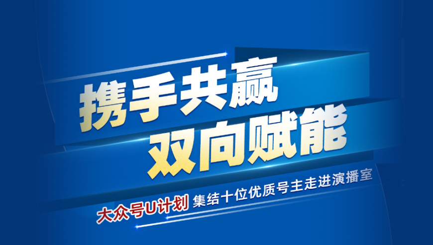 2025王中王资料大全公开,技艺解答解释落实_专供版85.345