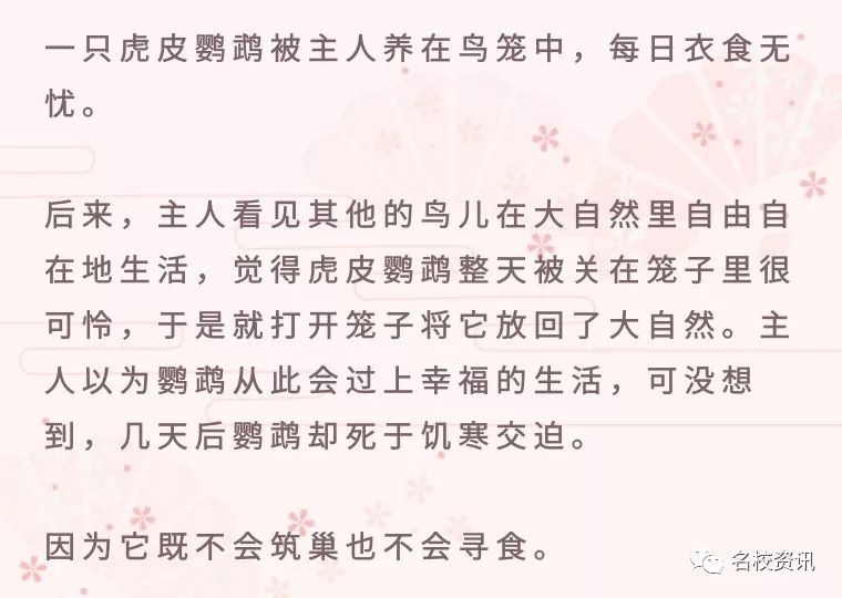 林沫儿技能学习指南，从初学者到进阶用户的任务技巧掌握攻略（2025年最新版）