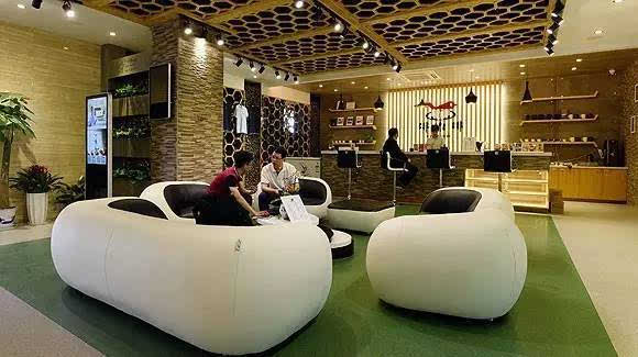 深度解析淘鸡行业趋势与热点事件，最新动态报告