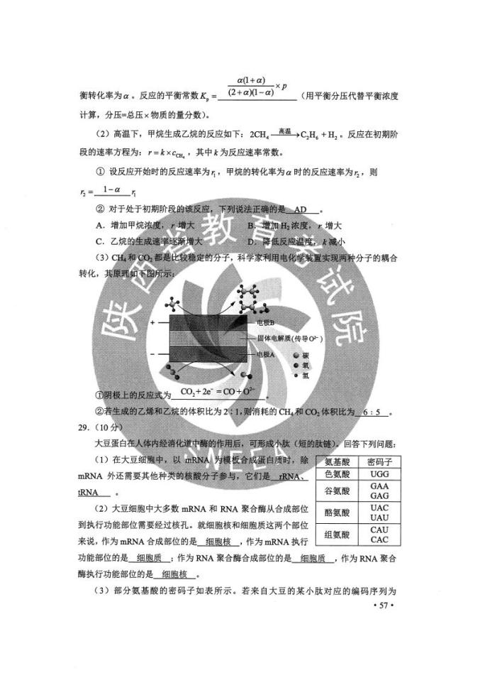 626969澳彩资料大全2021年61888,综合解答解释落实_精装版82.500