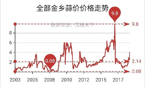 金乡大蒜最新价格探秘，情缘与温馨之旅