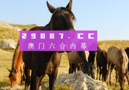 澳门管家婆一肖一码一中一,综合判断解析解答_预备版WRB366.54