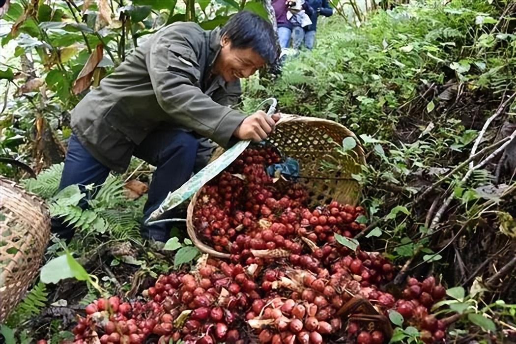 怒江州委组织部公示日，探寻小巷深处的独特风味