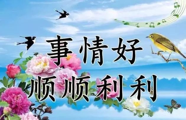 探寻幸福之源，11月8日特辑深度解读