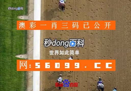 马会传真资料2025澳门,规则最新定义_中级版JTW973.46