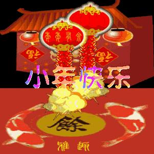 2025年度天天好运资料库，核心策略CMD698.41版实施指南