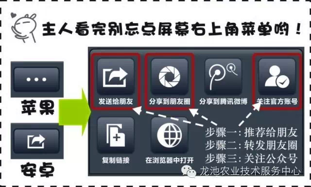 2025澳门全面指南免费钥匙，决策资料权威版PZH594.75