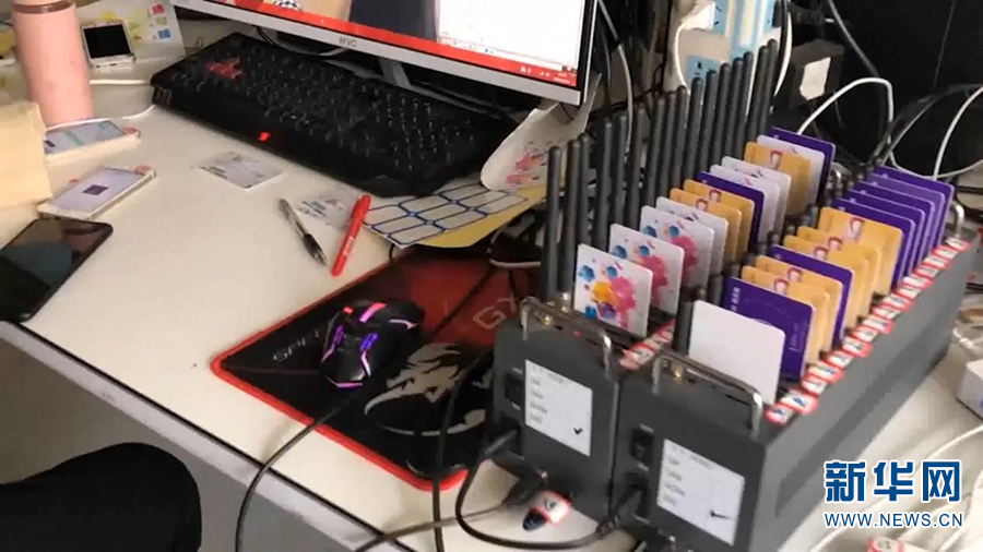 本周公道杀人案最新动态，深度解析真相与法律应对的进展与反思