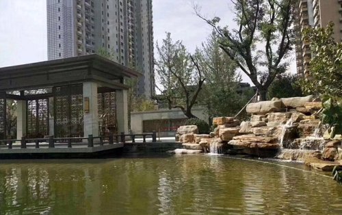 历史上的11月10日西安恒大龙庭最新动态概览与消息更新