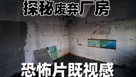 探秘宝藏小巷与惊喜章节，2025年11月10日最新章节目录揭秘