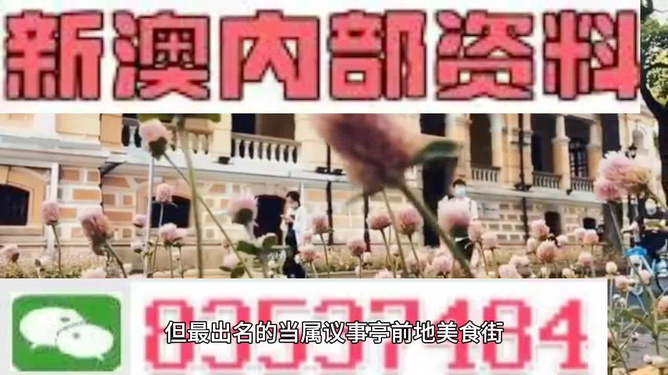 2025新澳精准资料大全,准确资料解释_怀旧版EVY281.24