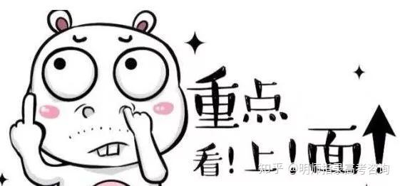 本月新推出的卧槽屏蔽产品深度评测与介绍全解析