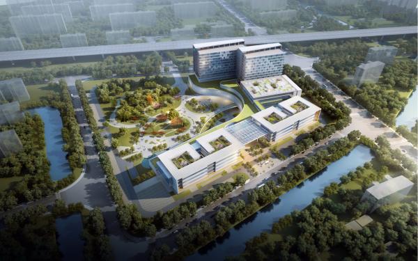 2025年11月12日全球新闻热点综述，最新新闻总结
