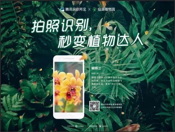 zhangwanglizhao 第15页