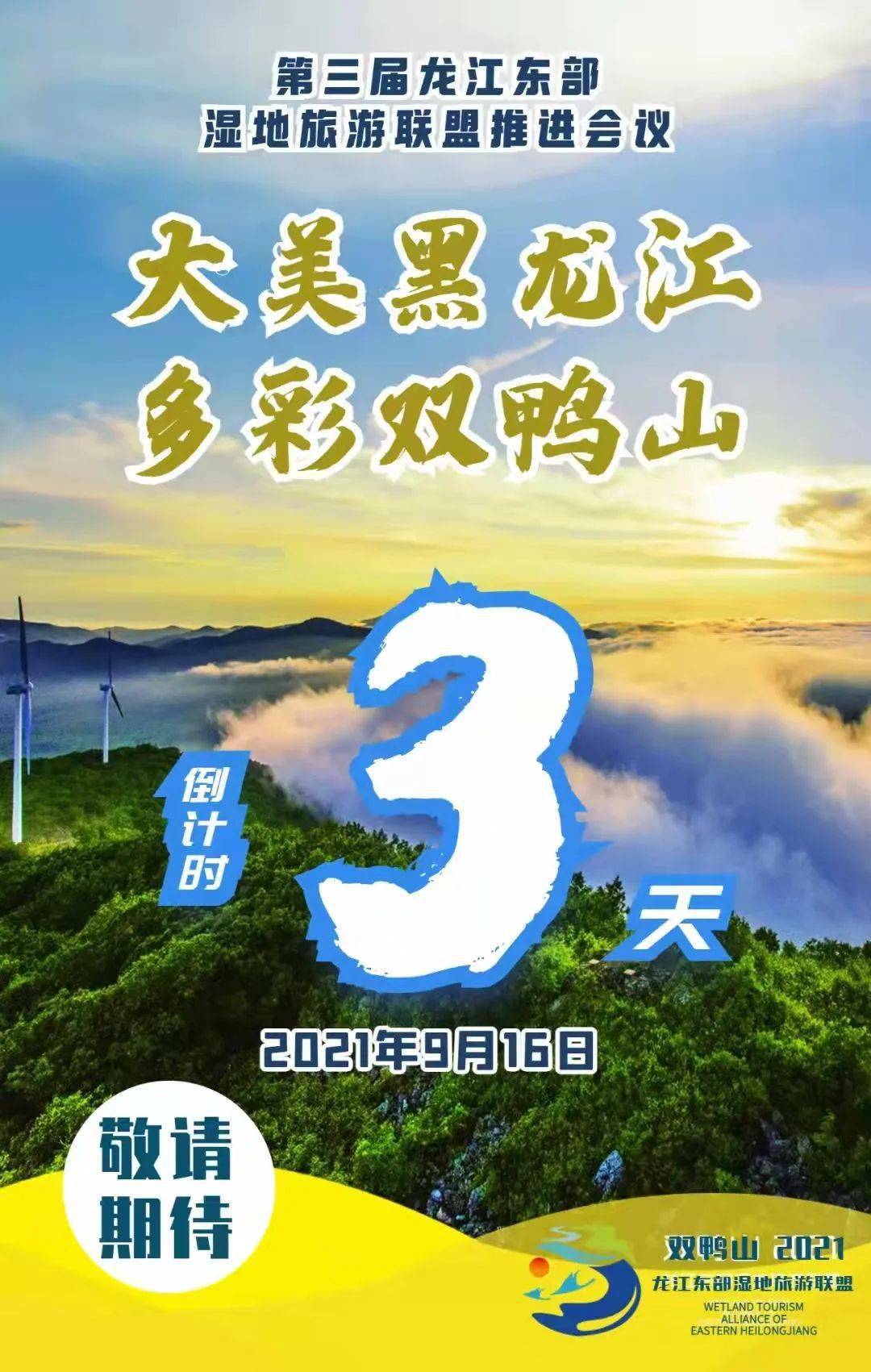 燕窝奇遇最新进展，自然之旅的心灵觉醒之旅