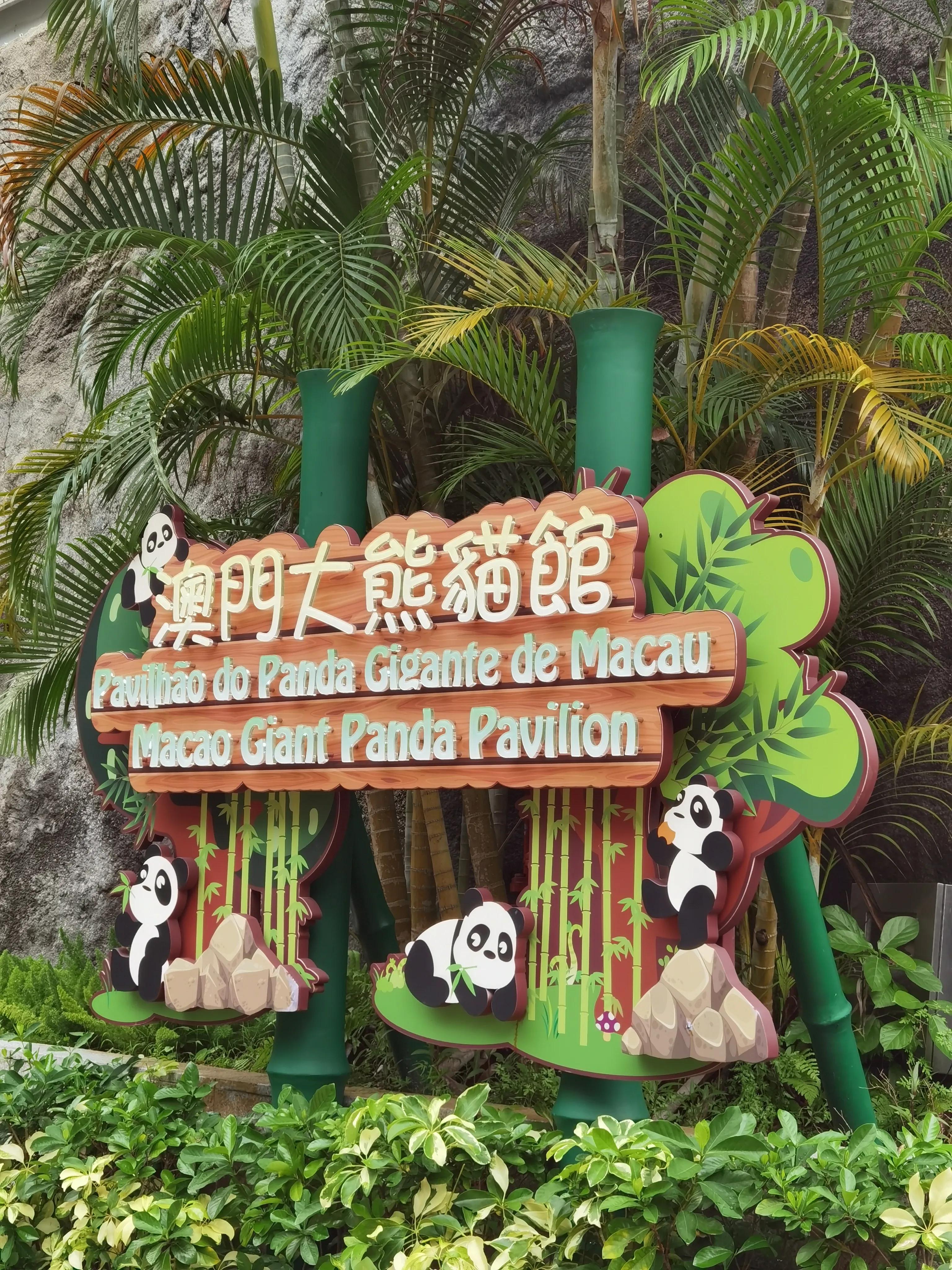 澳门二四六详尽指南，现场解析与界定_PZL61.385升级版