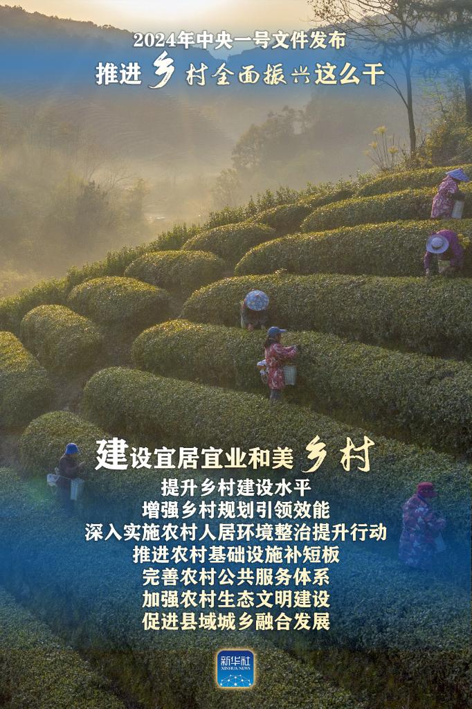 秋霞影视，2025年11月13日最新影视篇章