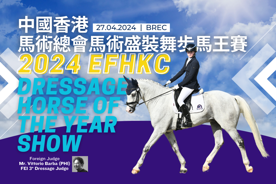 2025香港免费马料鉴赏指南：精心设计导览策略_UCH77.186旅行版