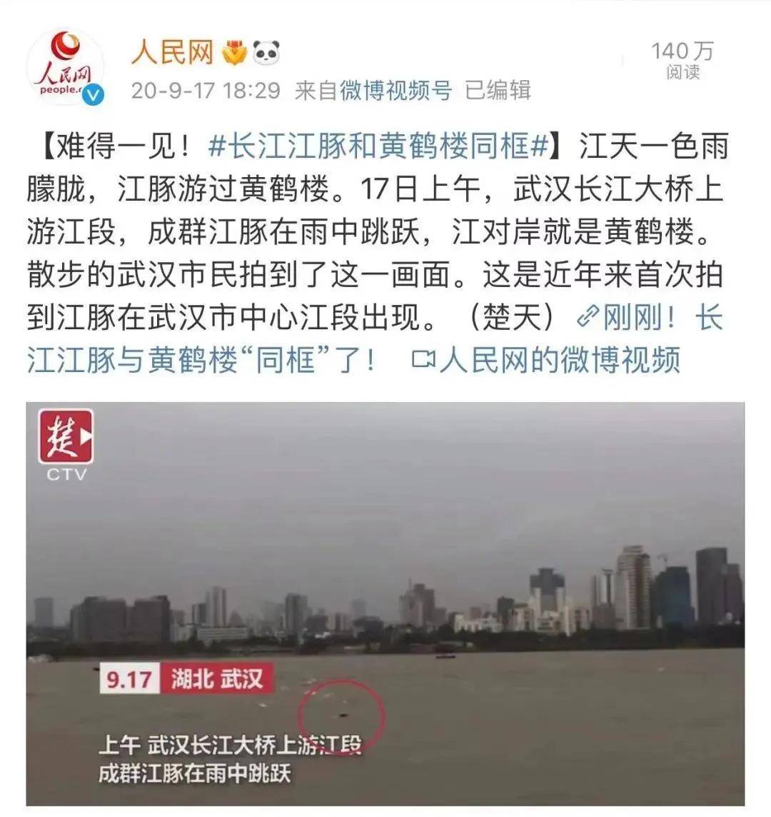 文质彬彬 第17页