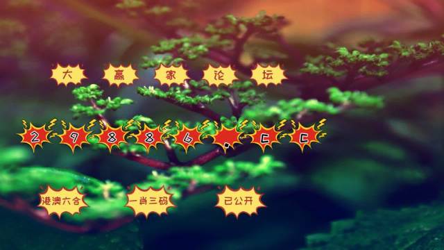 2025正版资料澳门跑狗图,实证数据分析_WSI10.295美学版
