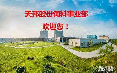 山东饲料厂最新招聘全攻略，求职成功秘诀与应聘心仪职位的步骤指南