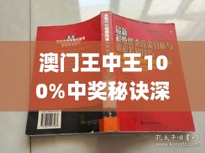 澳门王中王100%期期中一期,专业指导解答解释指南_CGR7.73.61文化版