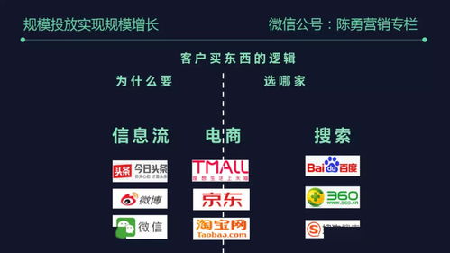 2025新奥资料免费精准天天大全,快速策略问题解决_LEM4.61.76驱动版