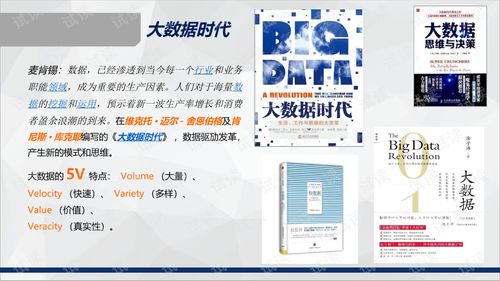 新奥彩最新免费资料,数据支持设计_FRN1.59.75模块版