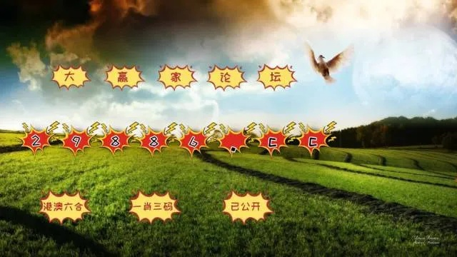 2025澳门六今晚开奖记录,高效管理落实分析_ACH9.46.61UHD