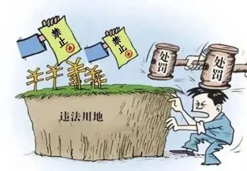 风驰电掣 第13页