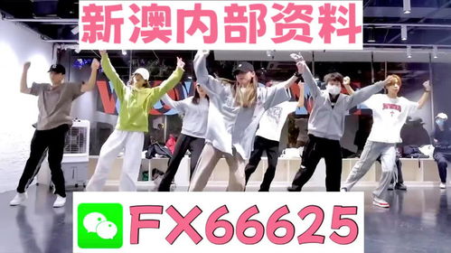 2025管家婆一码一肖资料,广泛讨论落实方案_DSI8.30.41高效版