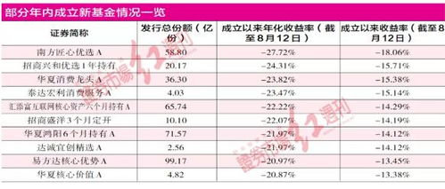 2025新澳精准资料大全,灵活策略落实评估_DQL5.76.82多元文化版