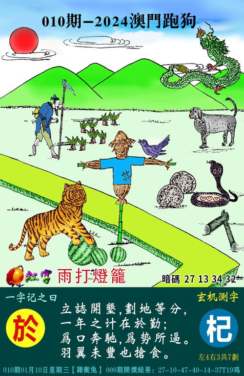 2025正版资料澳门跑狗图跑狗图2025年今期,安全评估策略_TRD9.16.90活现版